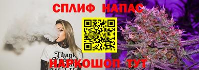 трава Кандалакша