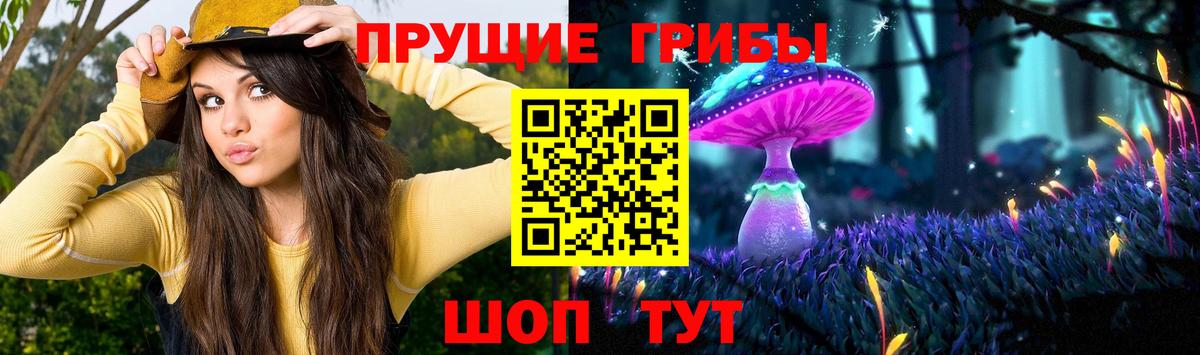 Кушва  Псилоцибиновые грибы Cubensis  Вход с VPN 